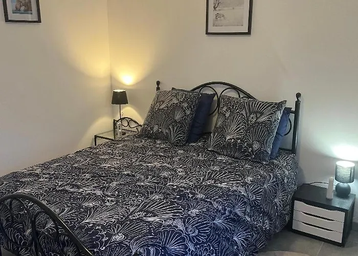 Au Petit Cafe Vakantiehuis Chateauvillain